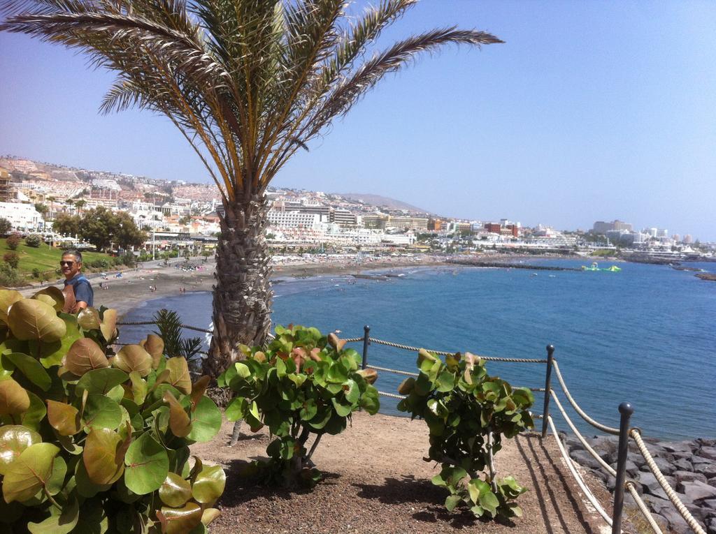 Paraiso Del Palm Mar Екстер'єр фото